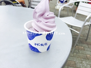 ブルーベリーソフトクリームの写真